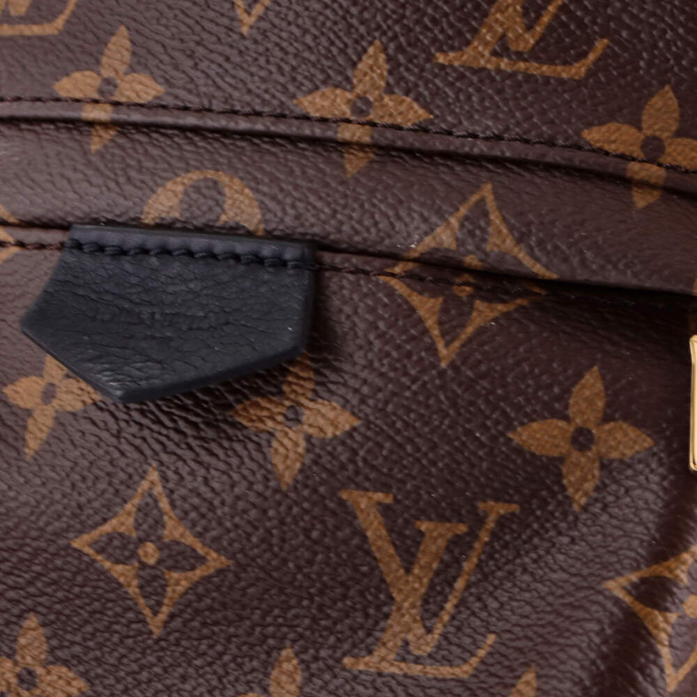 Louis Vuitton Palm Springs Backpack #257166L19B - Picture 6 of 8
